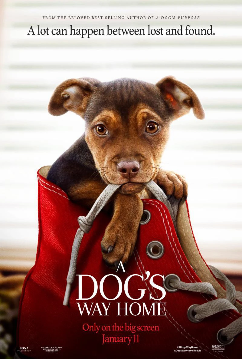 Đường Về Nhà Của Cún Con | A Dog's Way Home (2019)